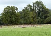 Untere Chällen